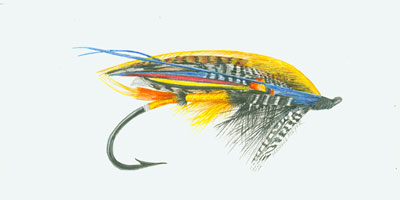 Salmon Fly Fish