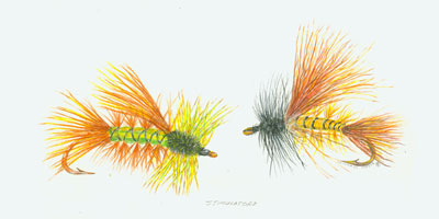 Stimulator Fly Fish