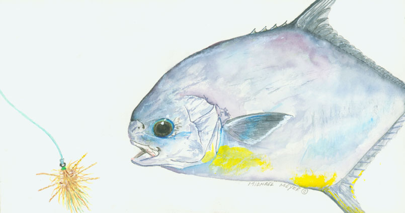 Permit Vs. Cowen's Crabbet Fly Fish