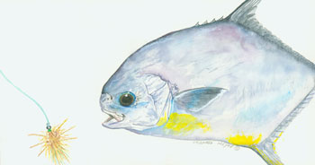 Permit Vs. Cowen's Crabbet Fly Fish