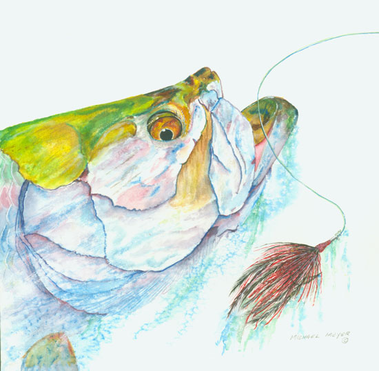 So Close Fly Fish