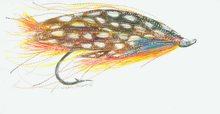 Speckled Fly Fish