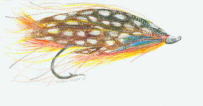 Speckled Fly Fish
