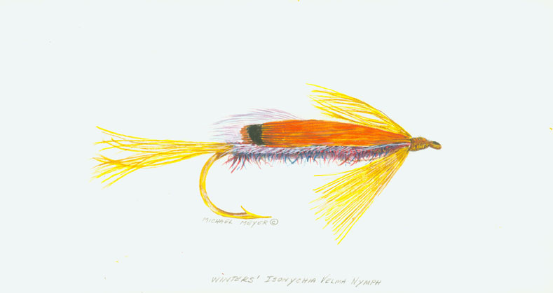 Winter's Isonychia Velma Nymph Fly Fish